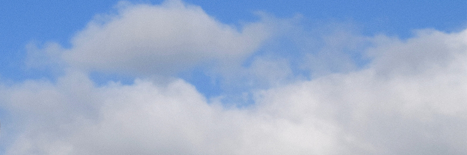 Toronto Battle of the Bands Club Shop