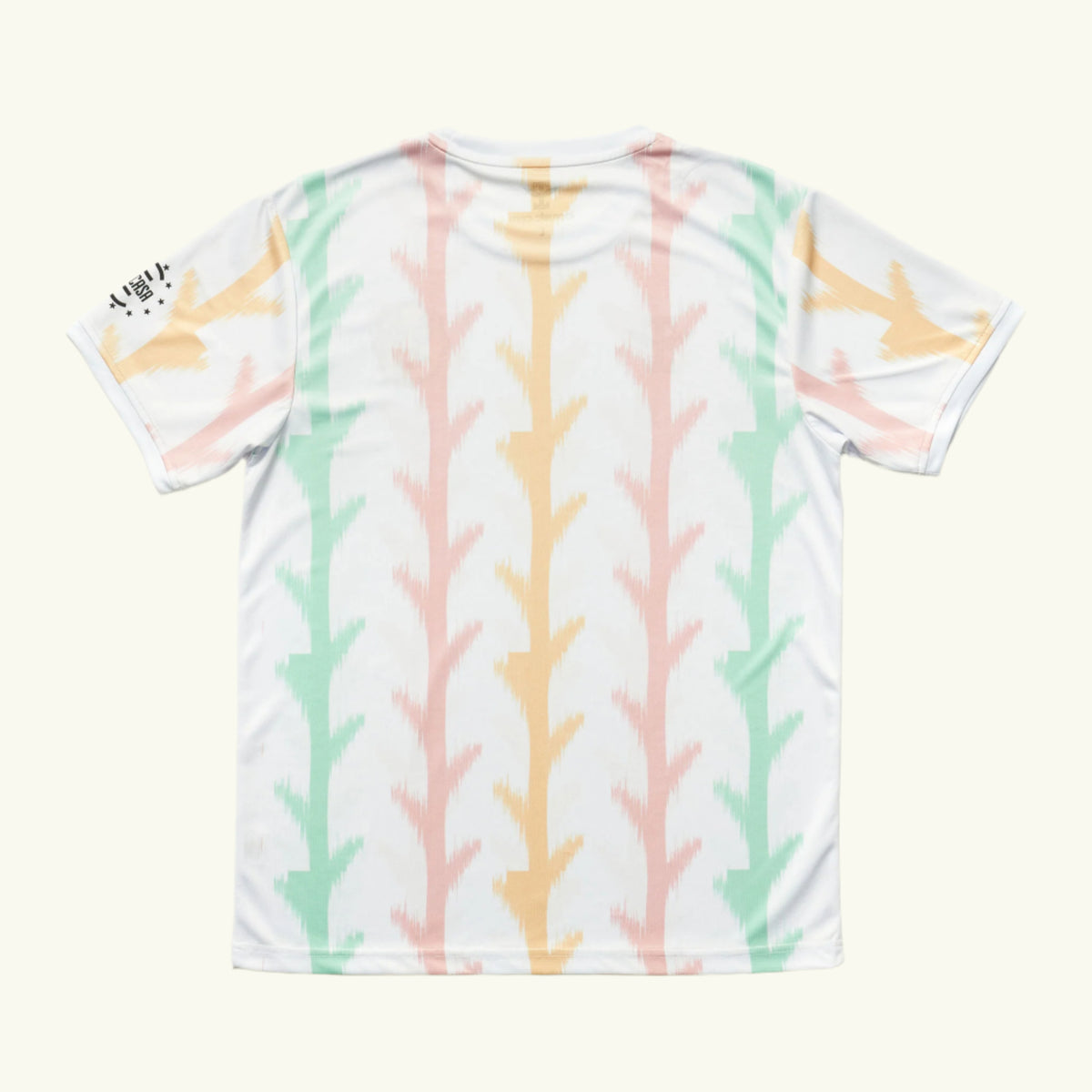 Spring Garden FC (2022)