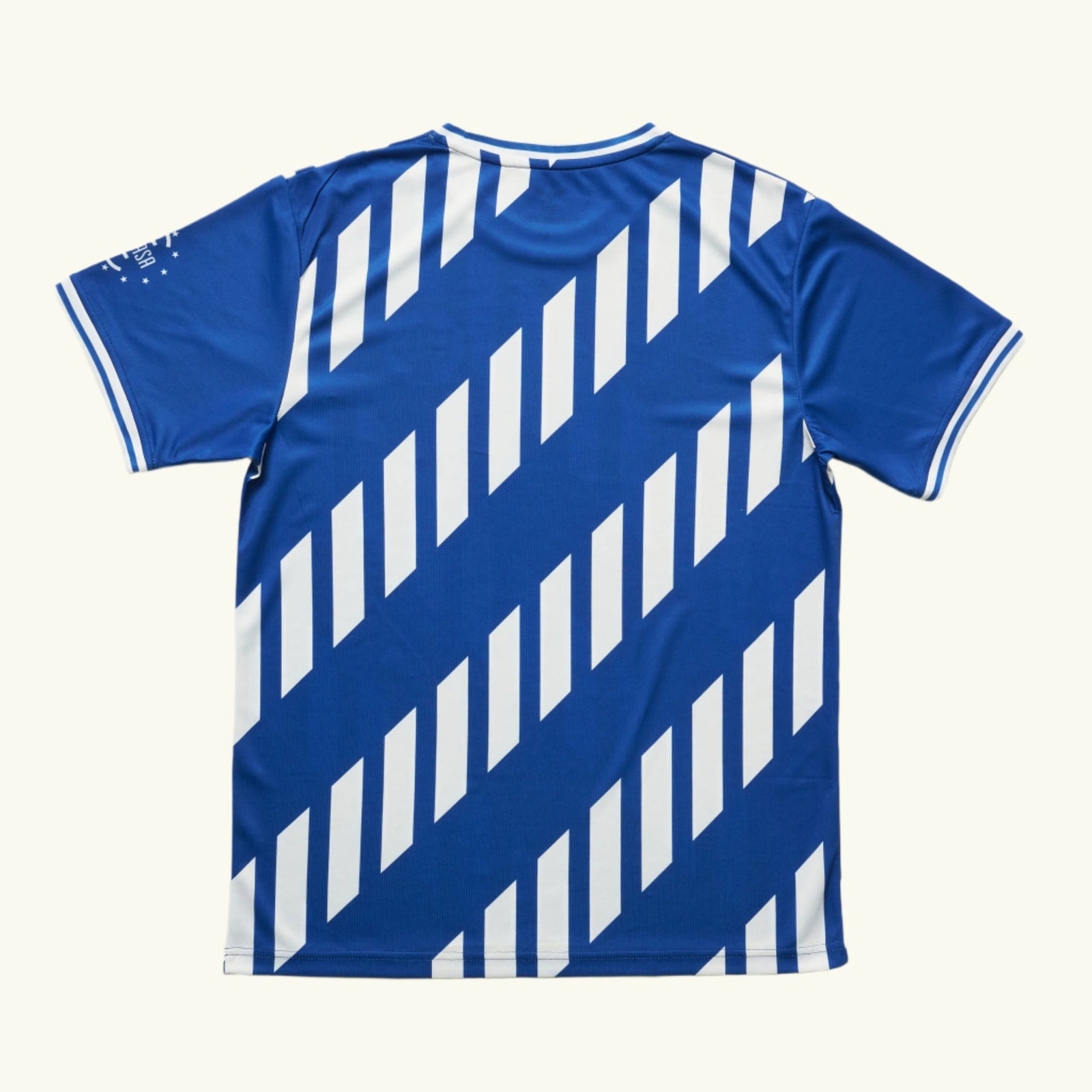 Upper Darby FC (2022)