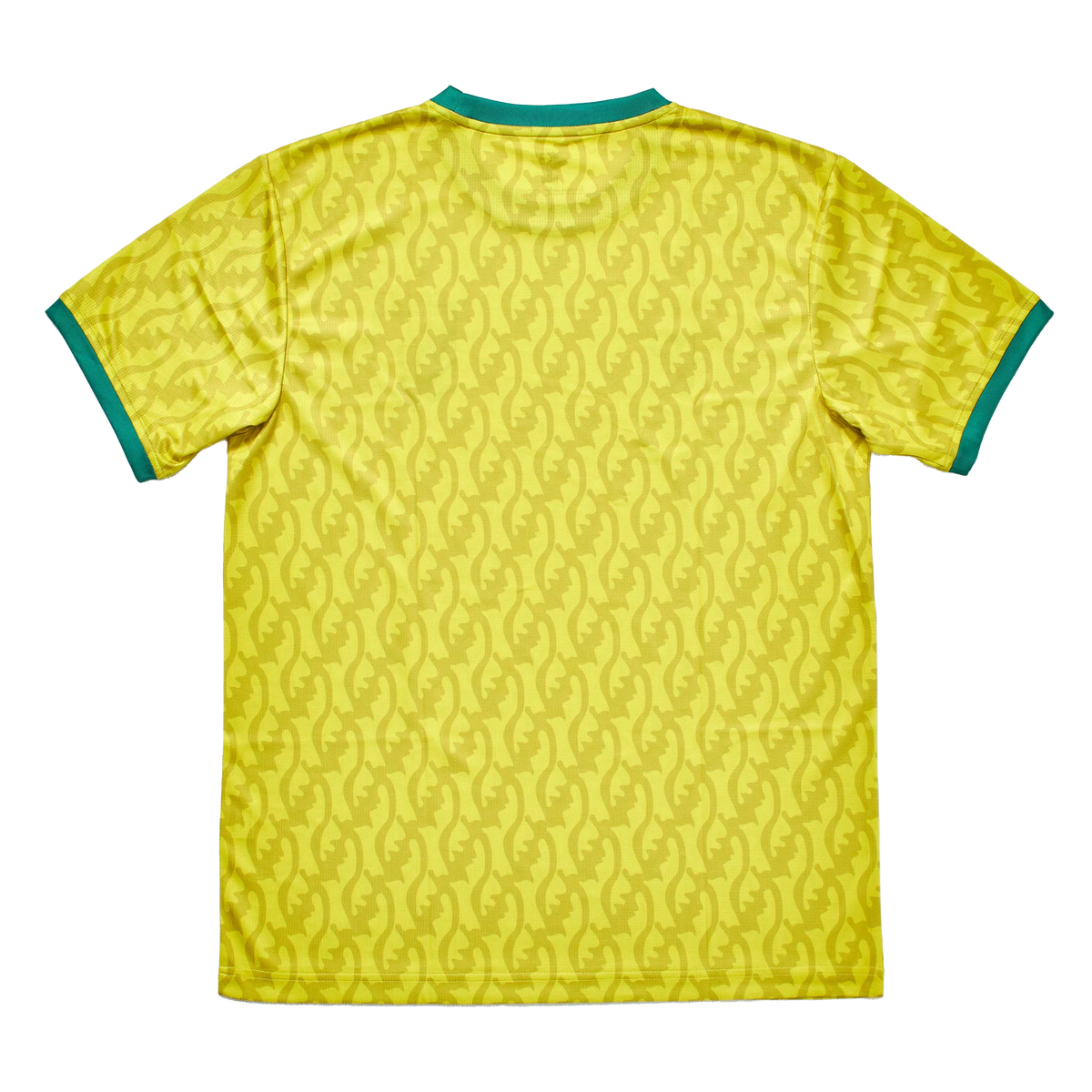 Bibiani Goldstars SC - Home (2021/22)