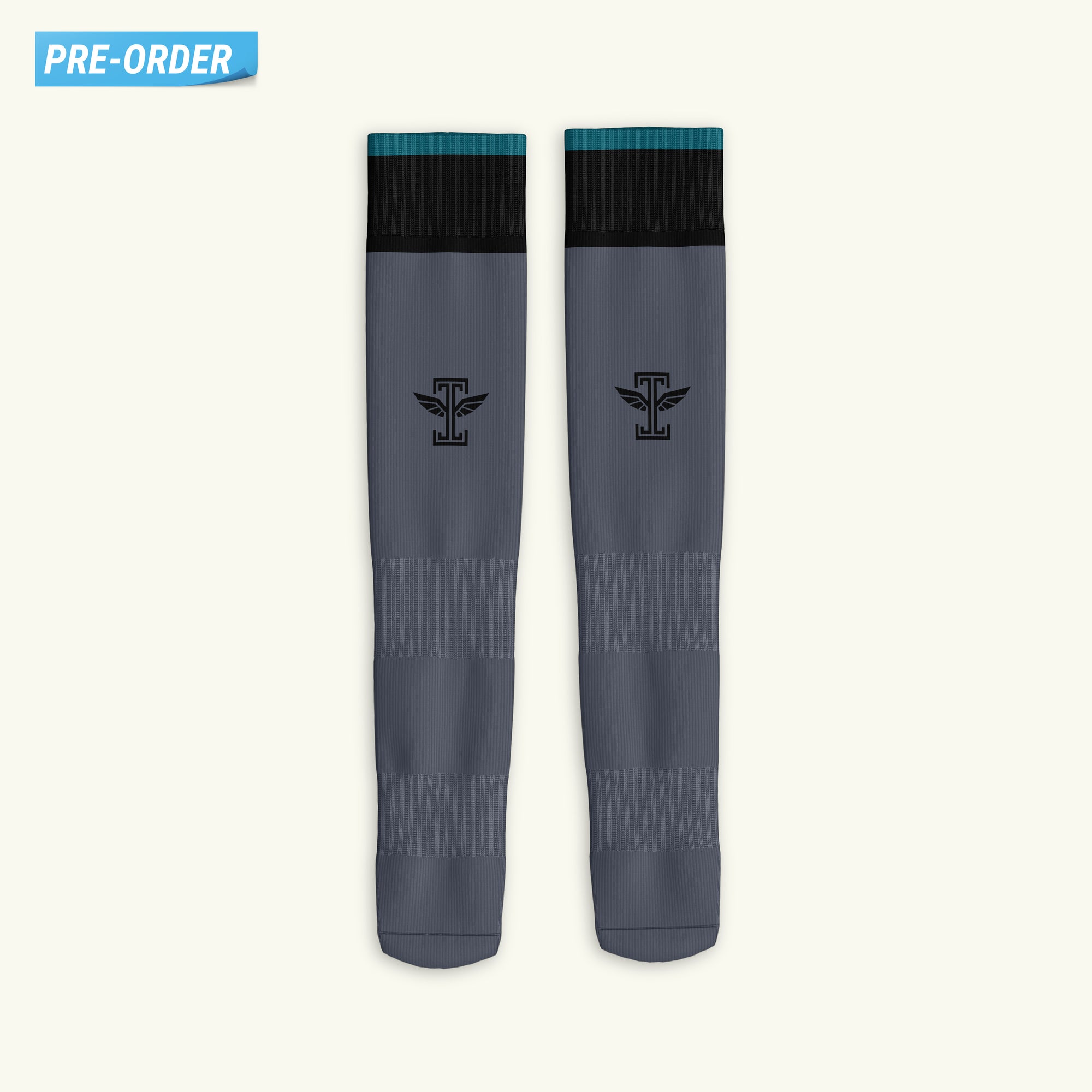Philadelphia Heritage Grey Socks